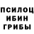 Псилоцибиновые грибы Psilocybe B1owolf Fff