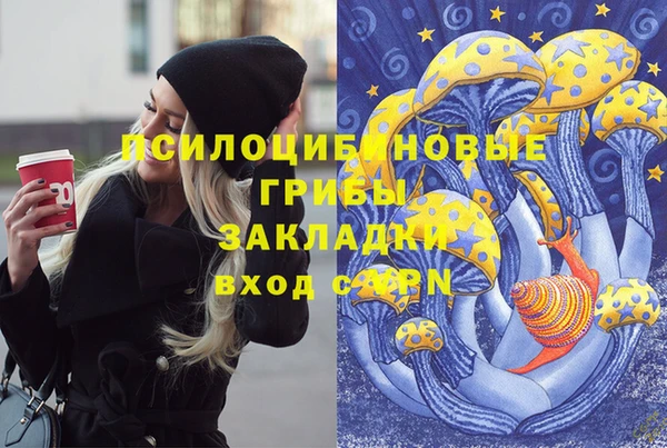амф Абинск