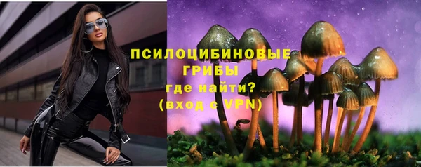 амф Абинск