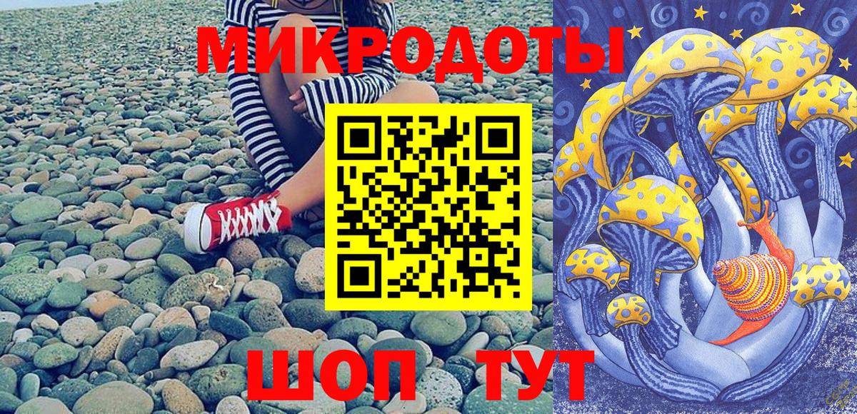 Тында  наркошоп  Вход с VPN  Псилоцибиновые грибы Psilocybe  Псилоцибиновые грибы Magic Shrooms 