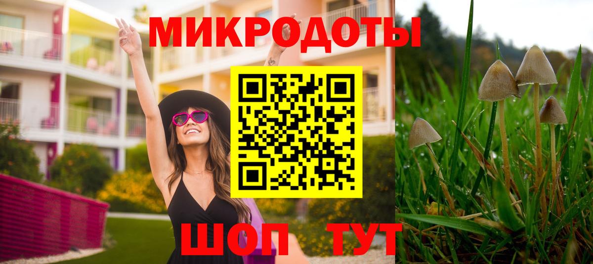 Галлюциногенные грибы ЛСД Тында